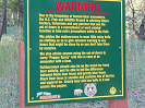 Beware of the bears...